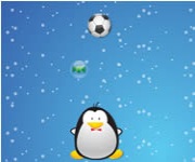 focis - Penguin header